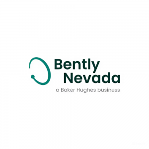 Bently Nevada Việt Nam logo