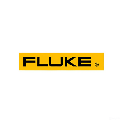 Fluke Process Instrument (Raytek) Việt Nam logo