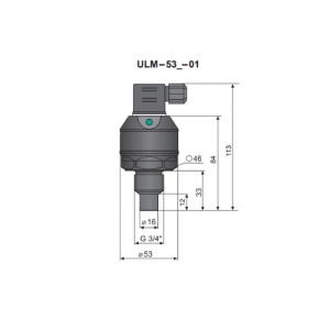 ULM–53_–01 Dinel