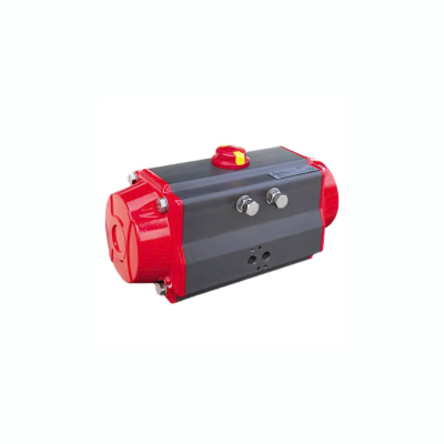 MT-75 Pneumatic Actuators Daejung Valve Vietnam