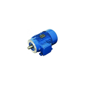 M50L2 Asynchronous three phase motors Carpanelli S.p.A. Vietnam