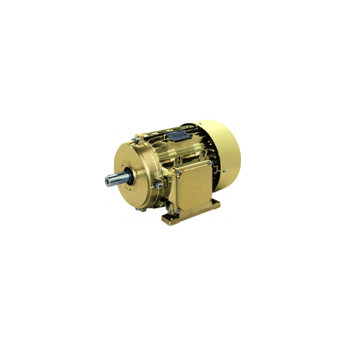 MRE63a2 High Efficiency Motors IE3 Carpanelli S.p.A. Vietnam
