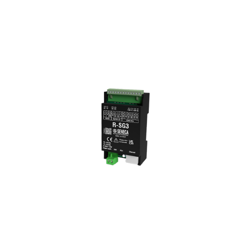 R-SG3 ModBUS Strain Gauge Input Module Seneca Vietnam