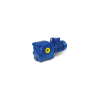 BS10-21V/DPE08XA4 Worm Geared Motor Bauer Vietnam