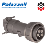 750530 Palazzoli – Phích cắm công nghiệp 250A IP67